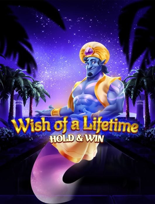 Wish of a Lifetime: Hold & Win